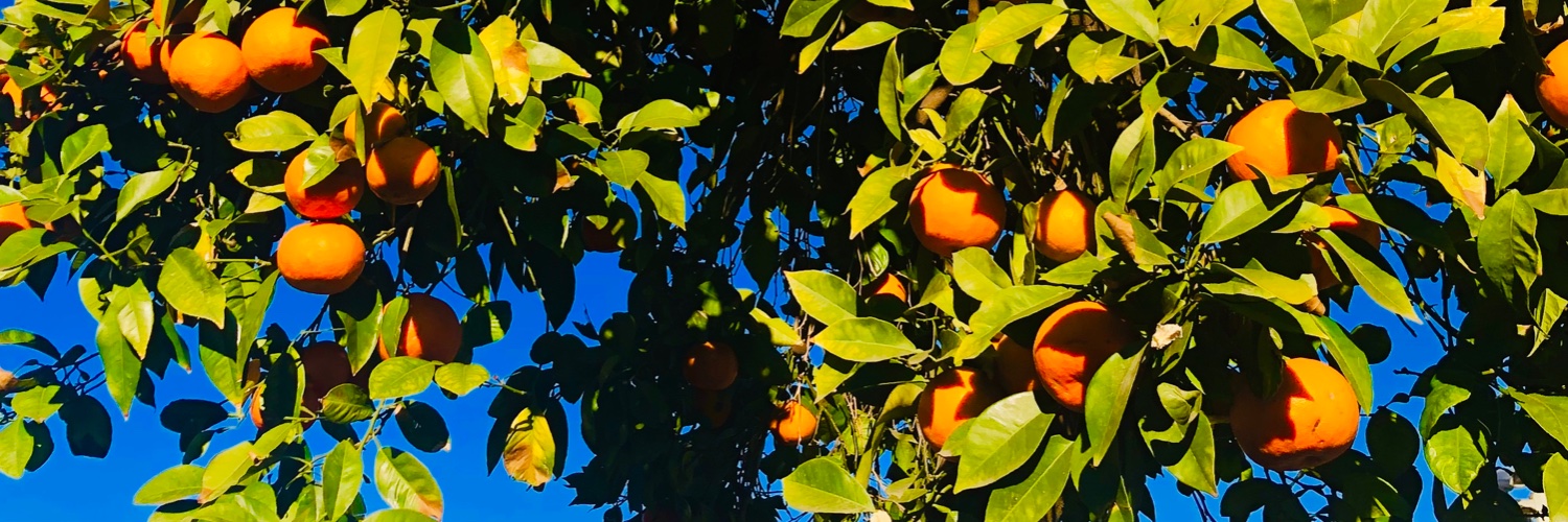 Justin Case 🏴󠁧󠁢󠁥󠁮󠁧󠁿☘️₿🛩🏁🇨🇭 banner