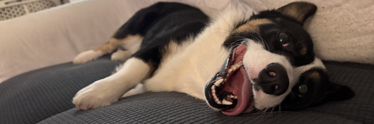 gam3rzack's profile banner image