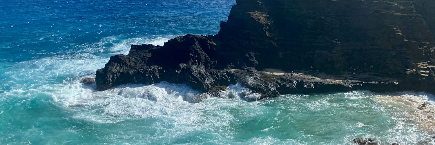 lilybec's profile banner image
