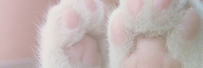 tjacoolt's profile banner image
