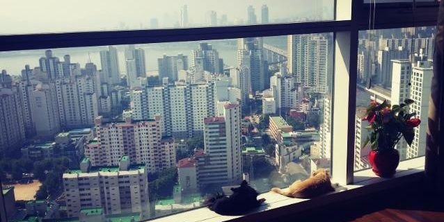 angelJg417's profile banner image