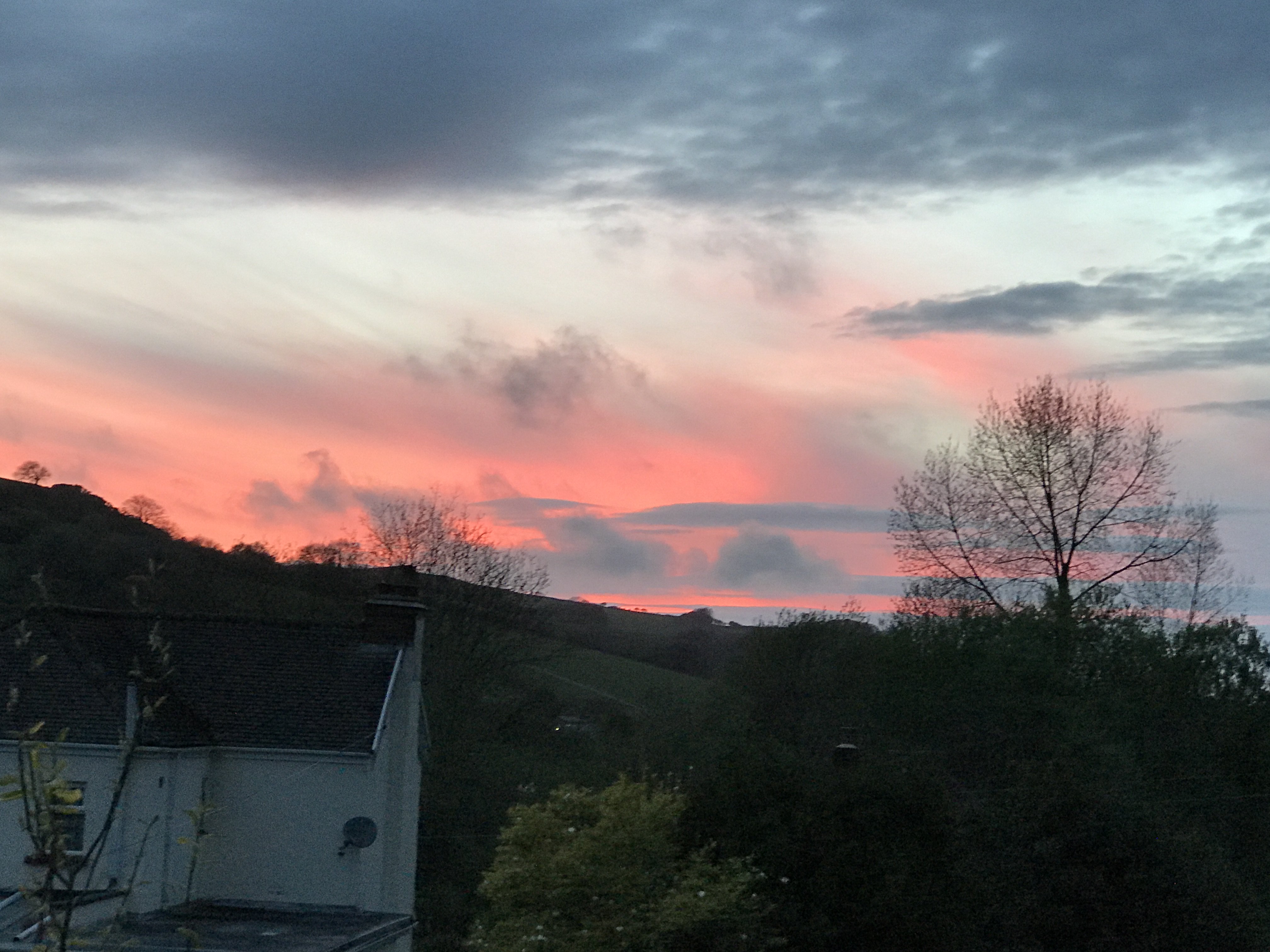 cassandra kelly banner