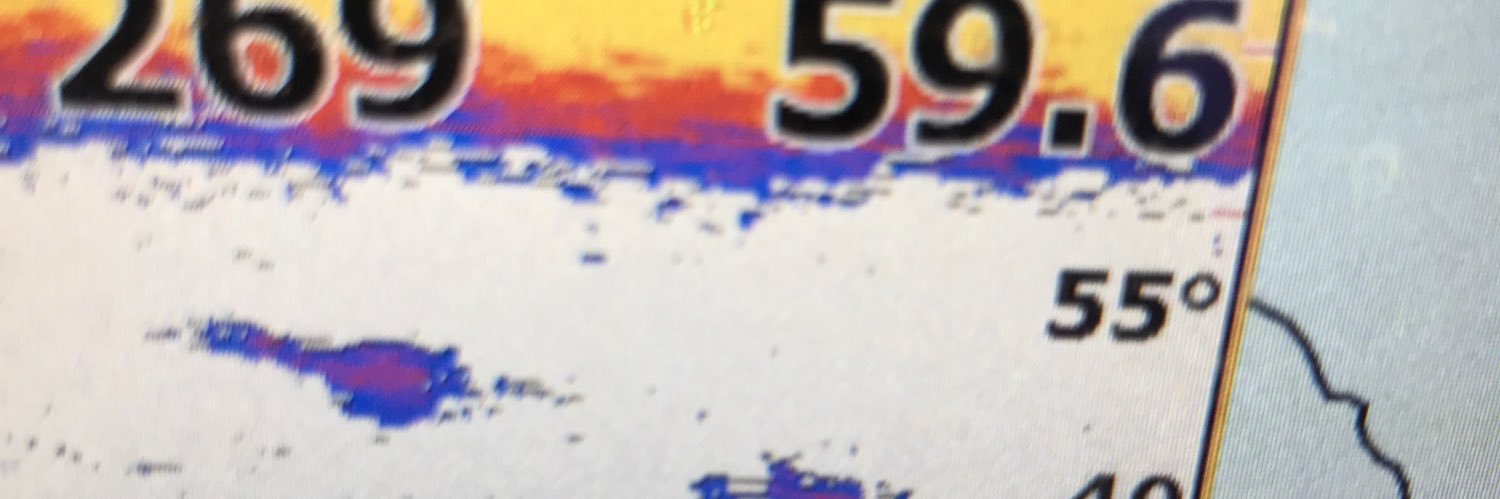 Kingskilla89's profile banner image