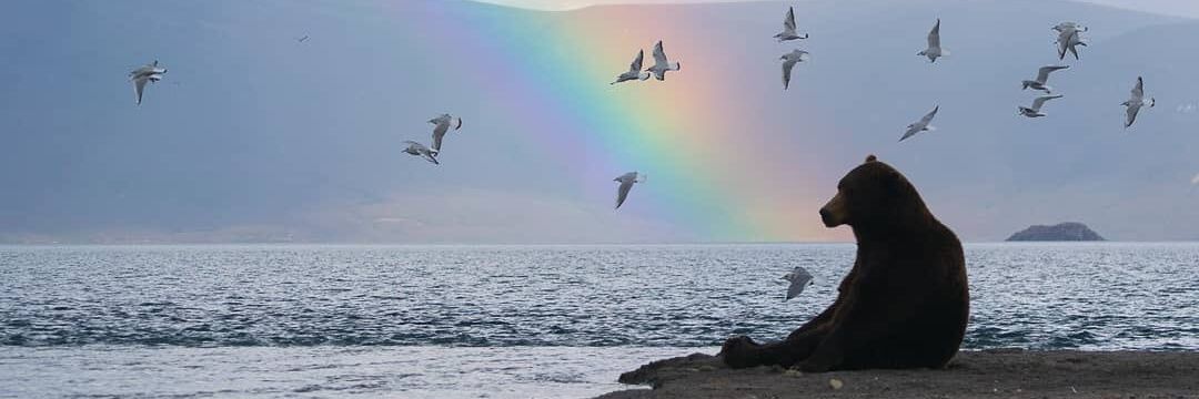 That Joe you know banner