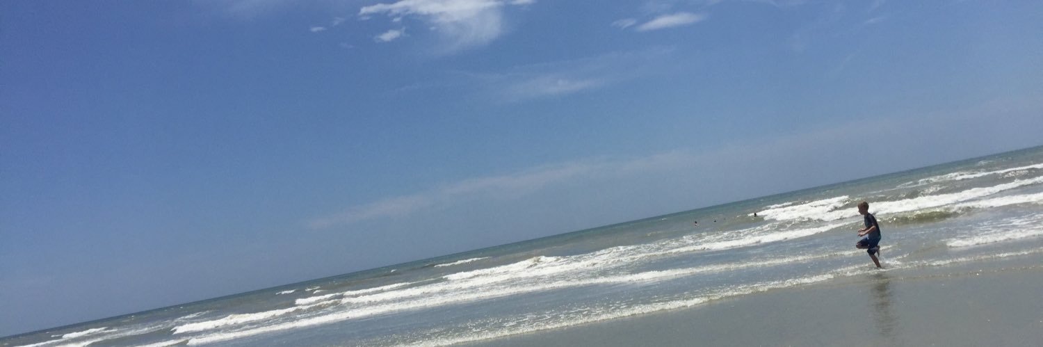 Ashley Thornton banner