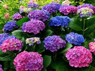 hiroshi06bbp's profile banner image
