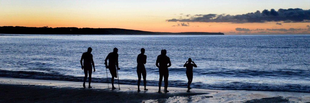 MarathonSwimrs Fed. banner