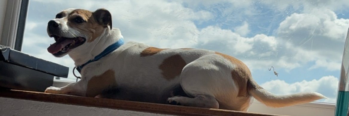Kæi banner