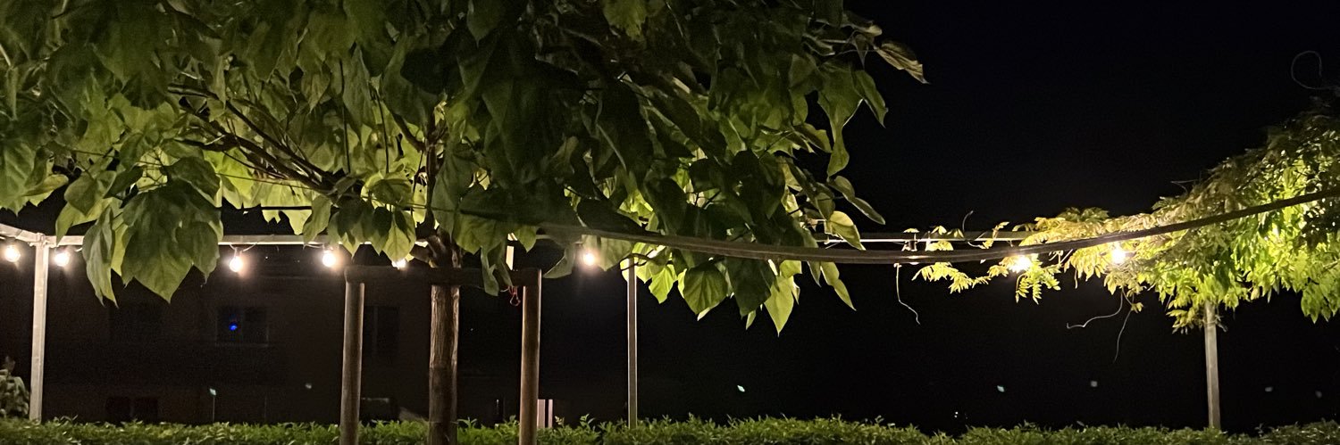marazdan's profile banner image