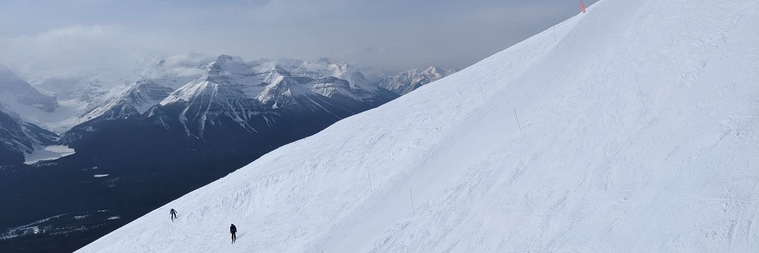 loupero's profile banner image