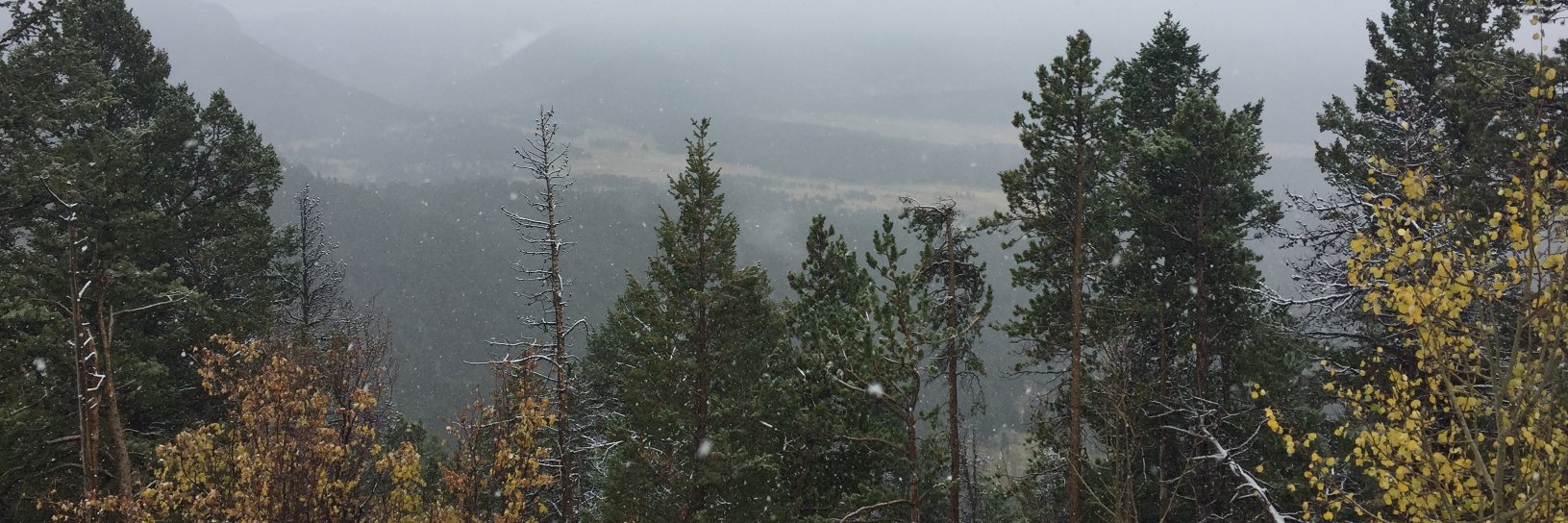 Patrick A. Allen banner