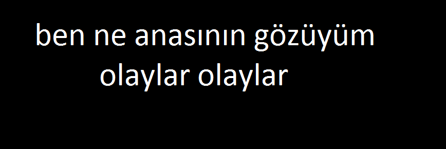 imam insane banner