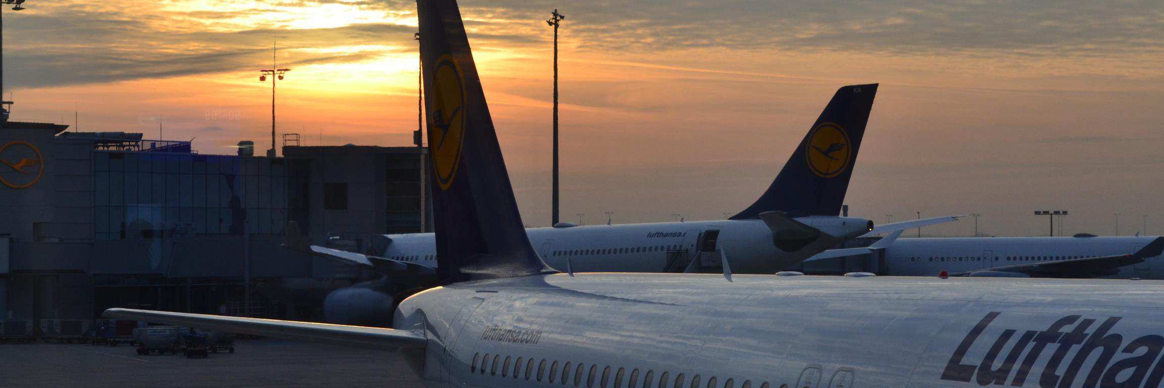 Sølvi Solvoll banner