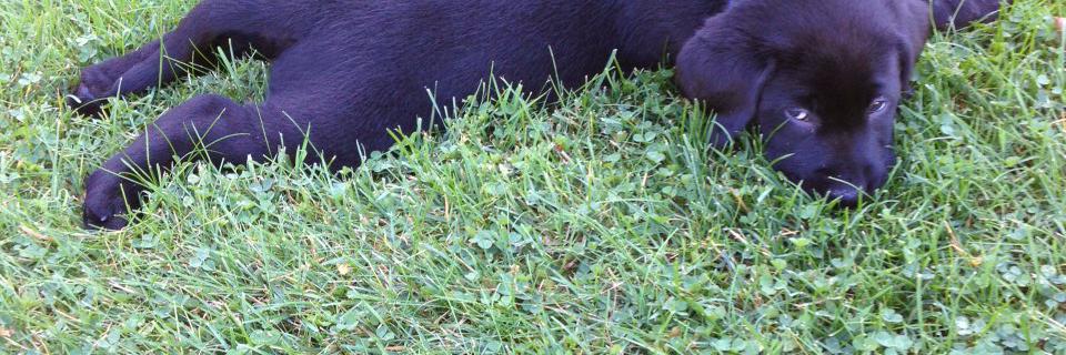 briangilliland's profile banner image