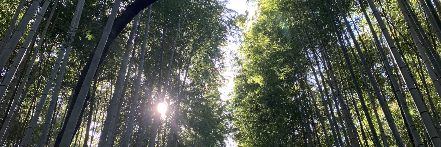 kozpee03's profile banner image