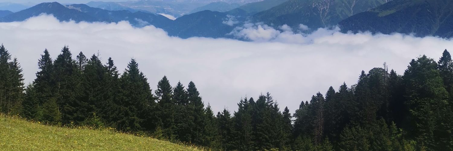 TuncayGundem's profile banner image