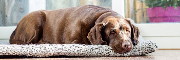 EstherGrit Profile Banner