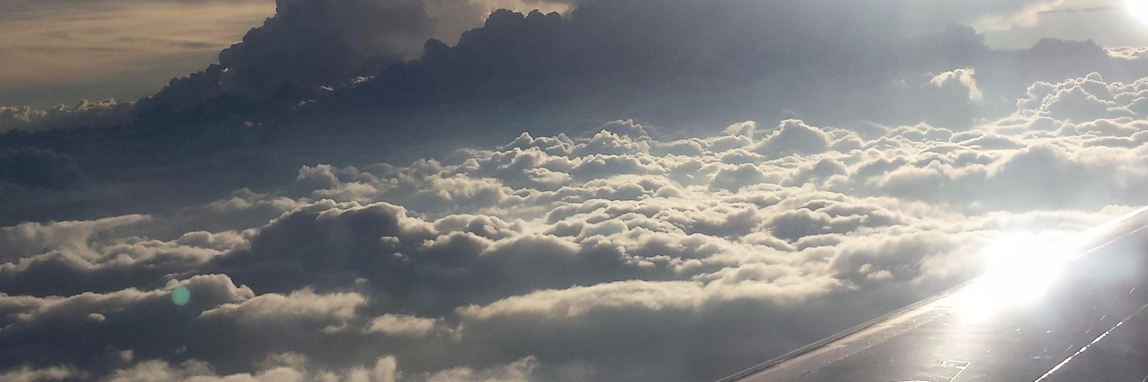 roxamontano's profile banner image