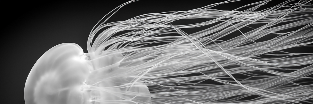 ListeningPoint7's profile banner image