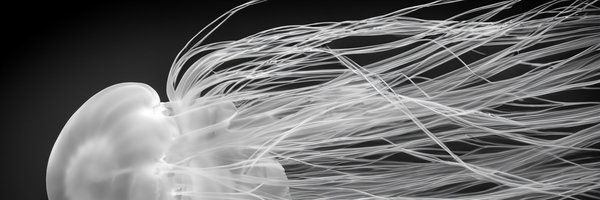 ListeningPoint7 Profile Banner