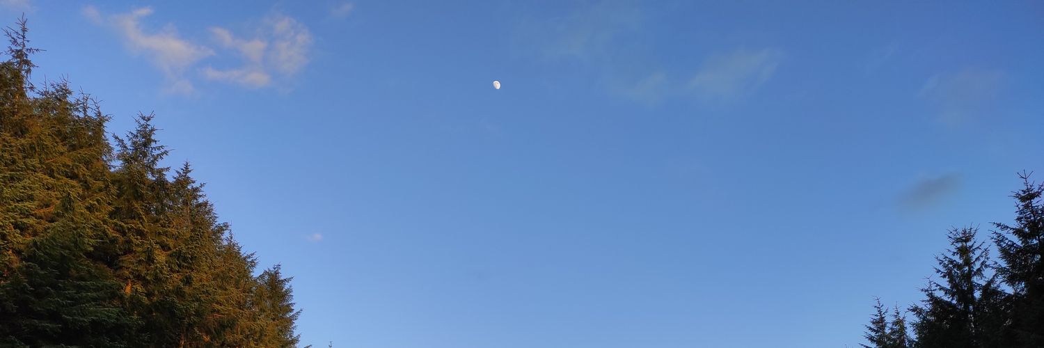AdreenEdu's profile banner image