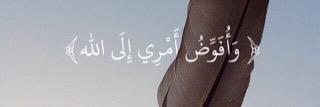 Rno0omy's profile banner image
