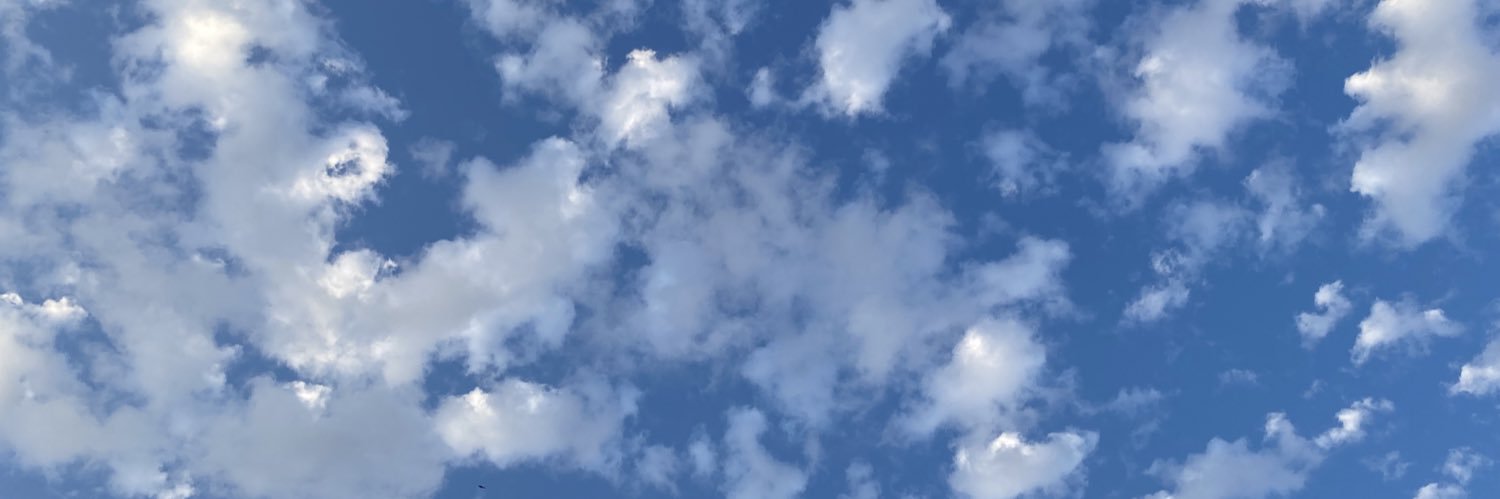 maxlevrandok's profile banner image