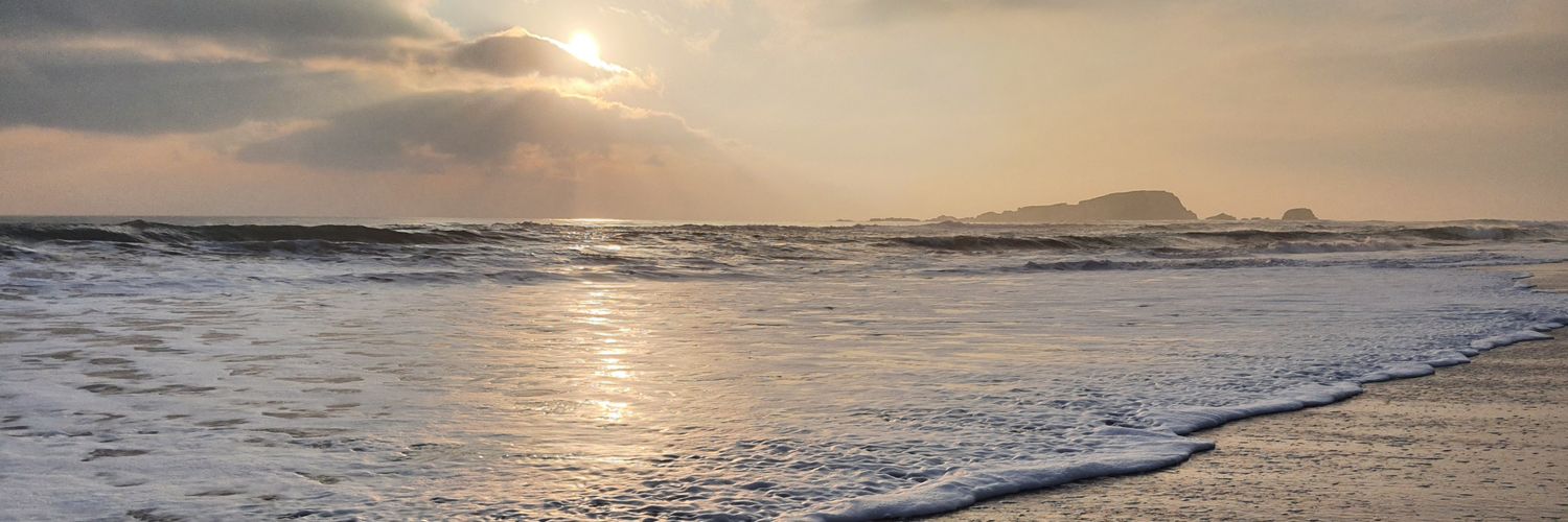 CaroGotuzzo's profile banner image