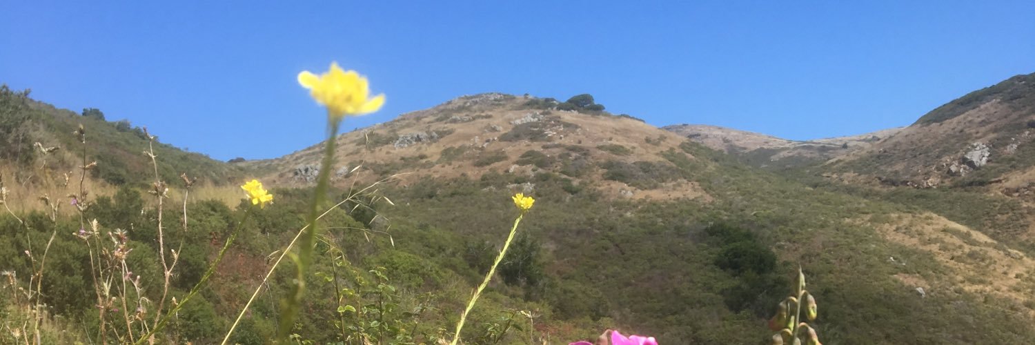 Libby_Marsh's profile banner image