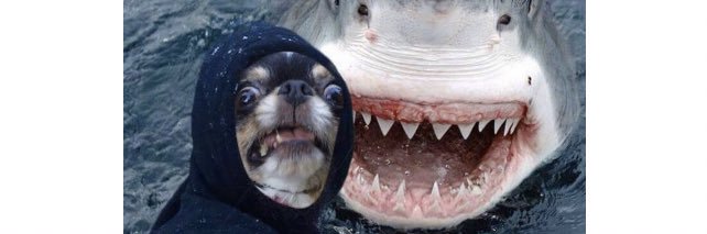 Chalupa Cabra banner