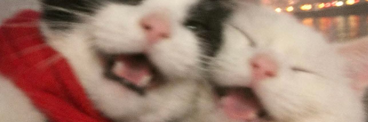 raw21gh's profile banner image