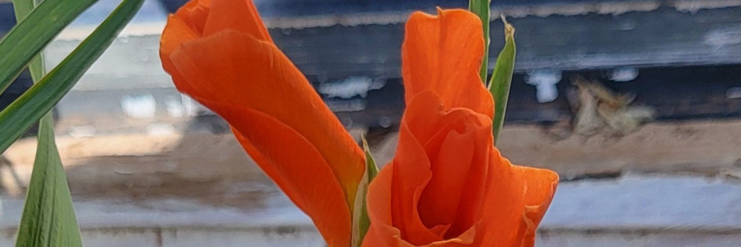 Onlyrealtink777 banner