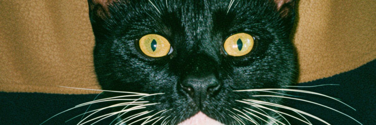_Rodrigool_'s profile banner image