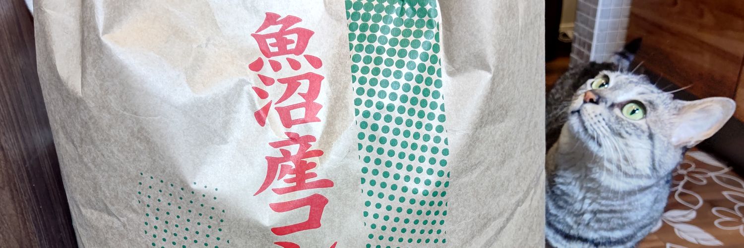ayusari135's profile banner image
