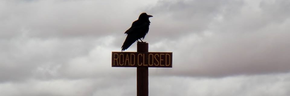 pjbaggs's profile banner image
