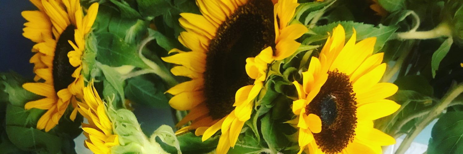 Simply_MissChi's profile banner image