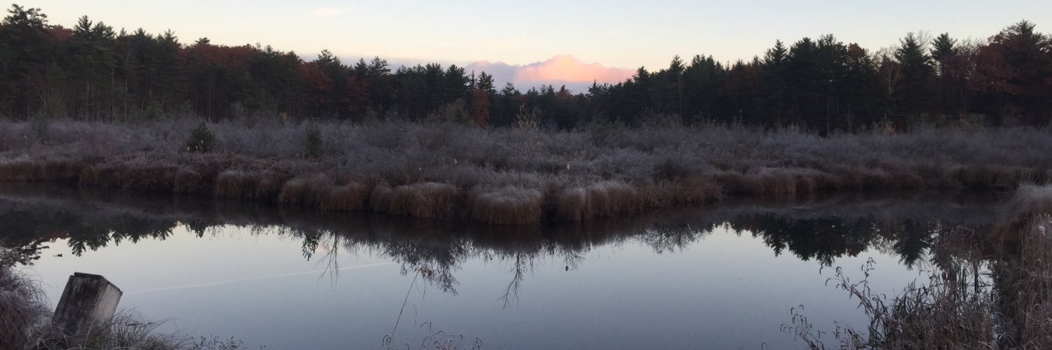 hale_craig's profile banner image
