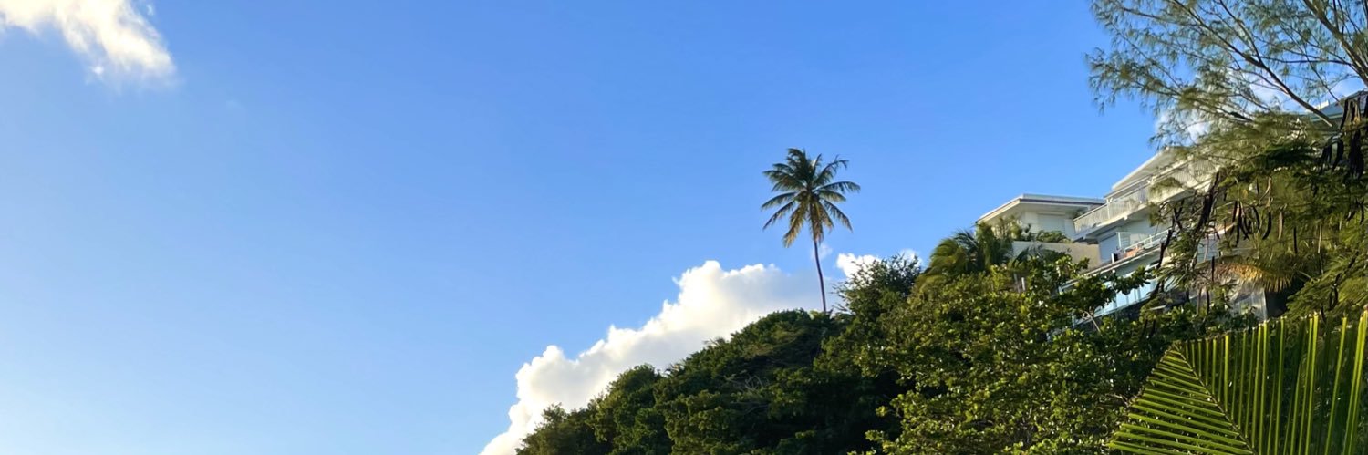 ChloeRiviere's profile banner image