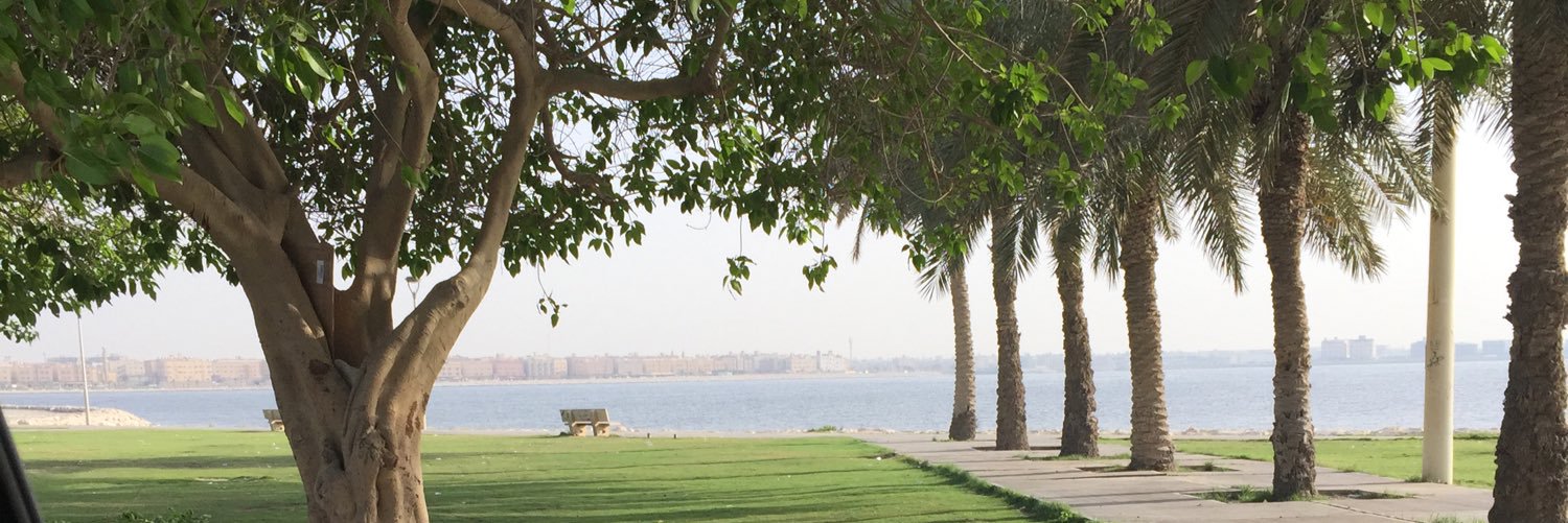 HRaneem's profile banner image
