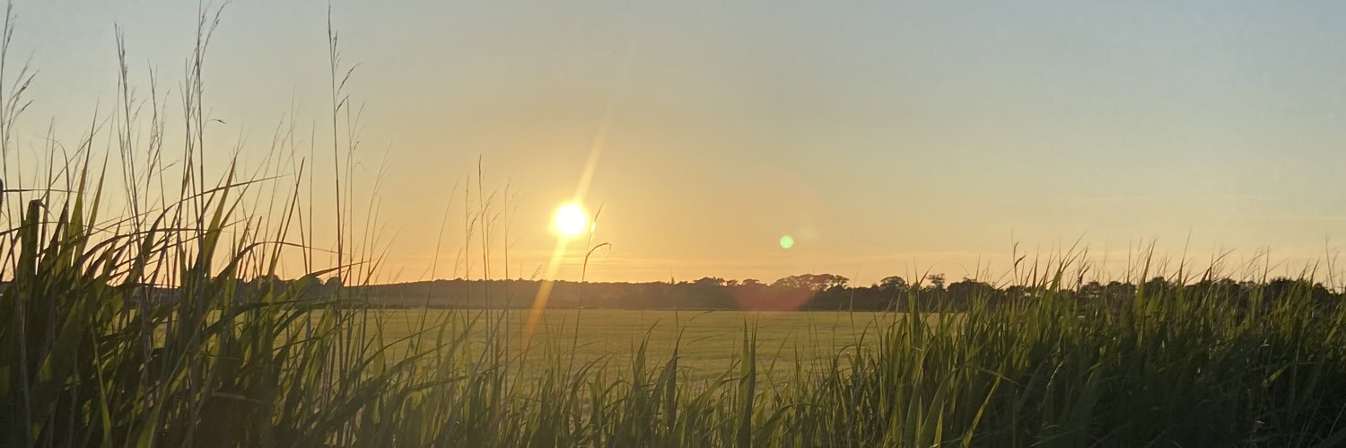 Catherine Walmsley banner