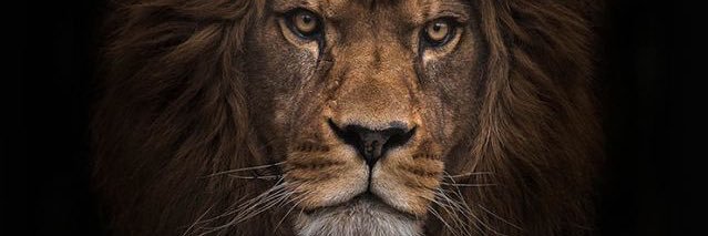 Jxom23's profile banner image