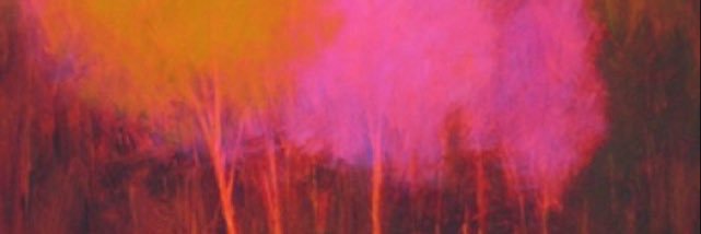 jessipiula's profile banner image
