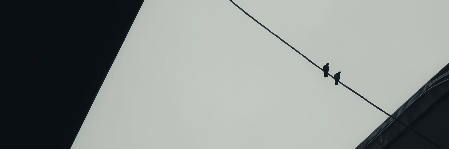 momo_chen's profile banner image