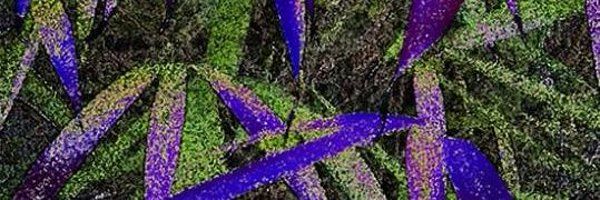 LordWalkiWolf Profile Banner