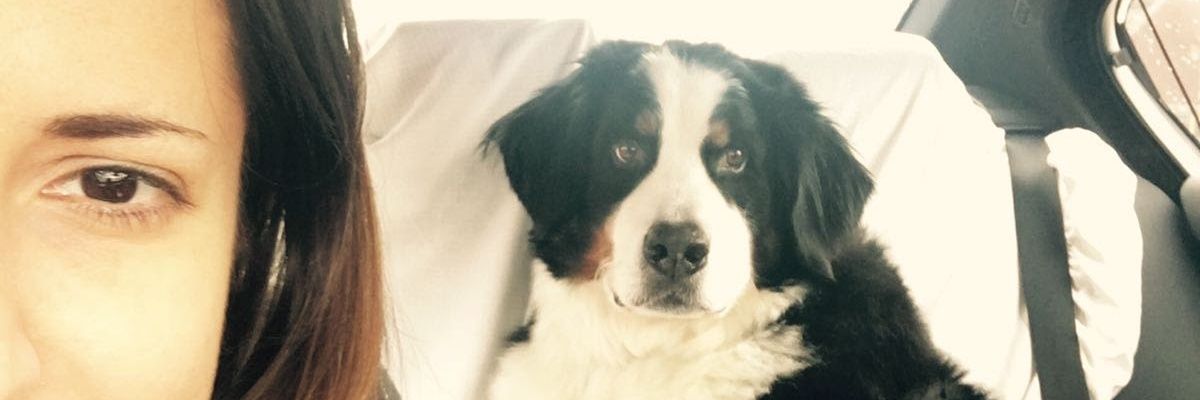 twitrhandle's profile banner image