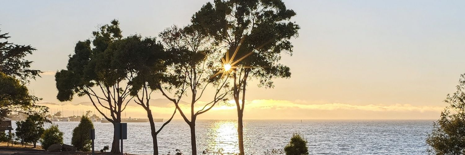 mmanfrini's profile banner image