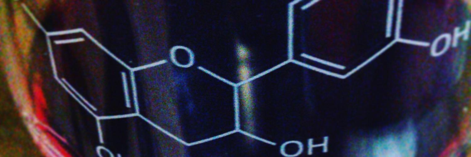 Alessandra Biondi Bartolini banner