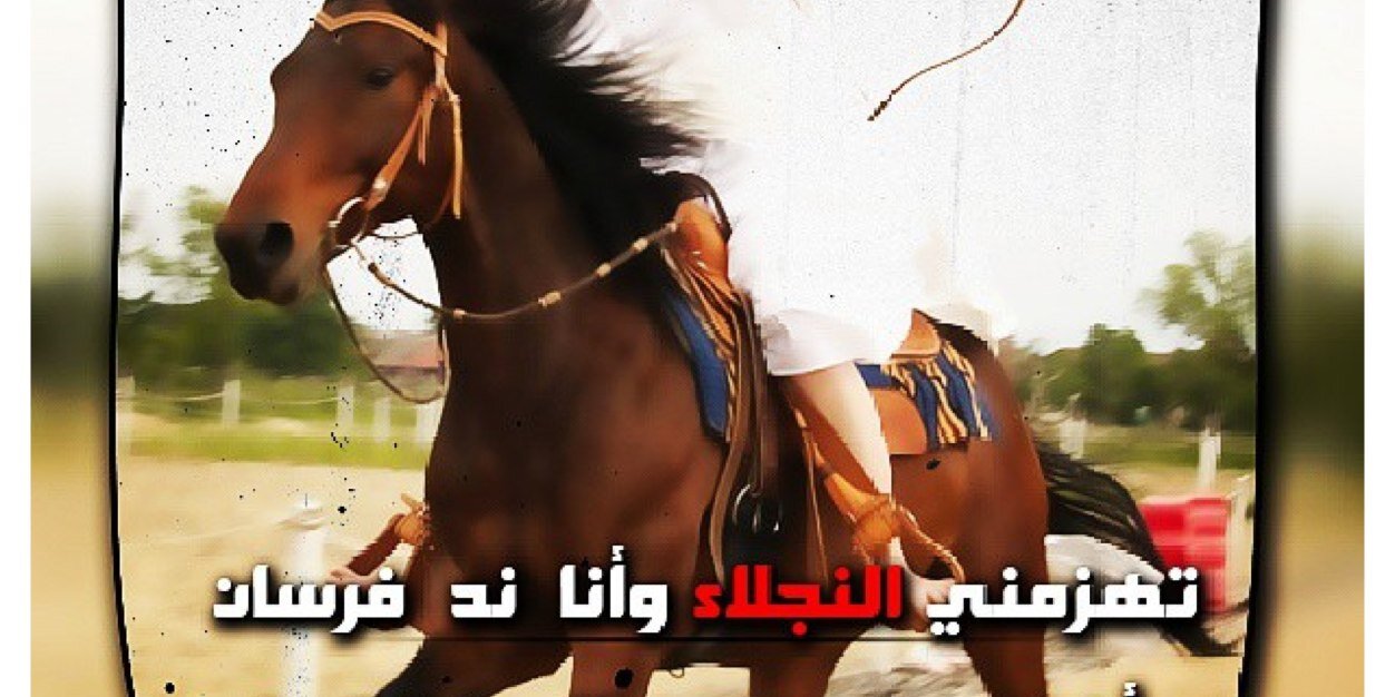bint_wayil's profile banner image