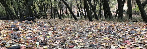 emrdoc1 Profile Banner