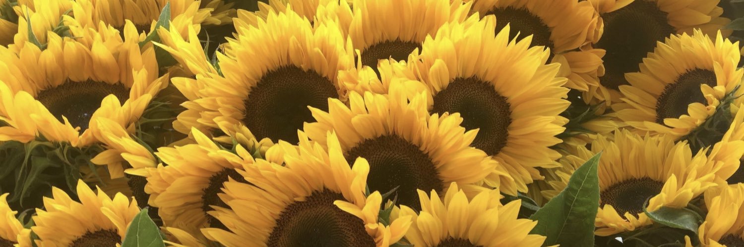 cassymartel's profile banner image